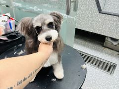 -宠物家(长阳店)