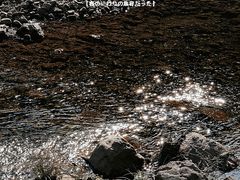 -龙湾潭国家森林公园