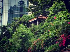 -海湾壹品·粤菜·早茶·烤鸭(拱北店)