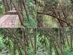 -金堂县云顶石城风景区