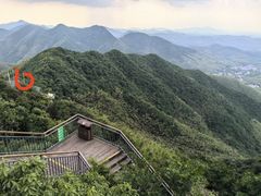 -紫藤园·天目湖大鱼头(南山竹海店)