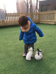 -萌宠亲子动物乐园(槐房万达店)