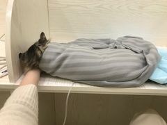 -美联众合24小时·皮肤科·外科·全科诊疗中心(华苑分院)