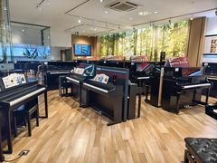 -柏斯琴行(汾阳店)