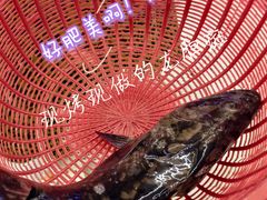 -鑫鸿达·海鲜闽菜热炒小馆(中山路店)