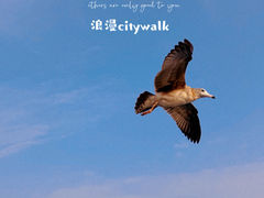 -星海广场