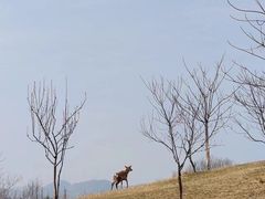 -良渚古城遗址公园