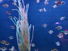 -沈阳海洋探索中心