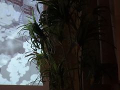 -若水云栖·足疗·按摩·SPA(城阳万达广场店)