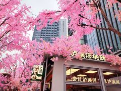 -首开·龙湖成都西宸天街