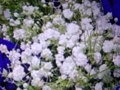 -飞奇儿体能体操馆(和平印象城店)