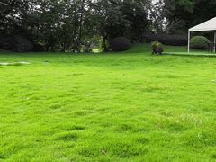 外景-老房子金沙元年川菜食府·草坪婚礼(毗河店)