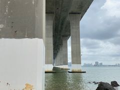 -中澳友谊花园
