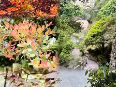 -雁荡山三折瀑景区