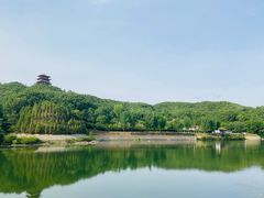 -中原大佛景区