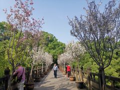 -南山植物园