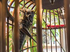 -阜昌典当行(阜成门店)