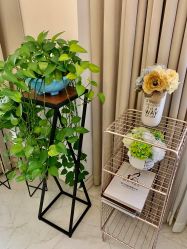 -新蝶变皮肤管理中心