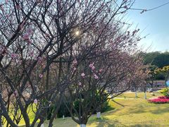 -广州莲花山旅游区