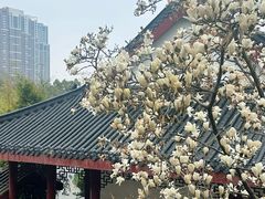 -堤角公园