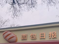 -面包日报