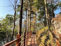 -广州市石门国家森林公园