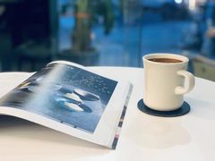 -麻雀咖啡SPARROW COFFEE(十全街店)