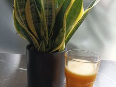 -青山上品咖啡·日式法兰绒手冲(高岛屋百货店)