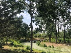 -东郊湿地公园