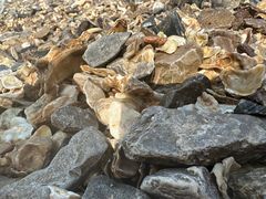 -东疆理想海岸沙滩景区