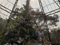 -野象谷景区