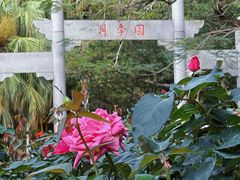 -人民公园(罗湖区)