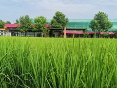 -洪湖家庭农场·团建·露营·会议