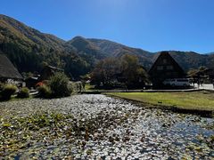 -白川乡与五箇山的合掌构造村落