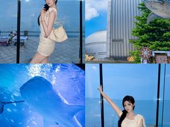 -烟台海昌鲸鲨海洋公园