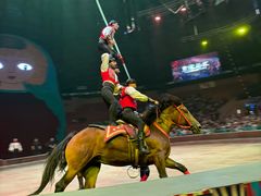 -俄罗斯国家大马戏团