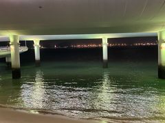 -演武大桥观景平台