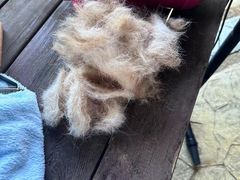 -汪说喵讲宠物乐园宠物酒店(红星美凯龙店)