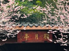 -杭州植物园
