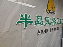 -半岛宠物医院24小时(白果林店)