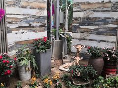 -石家庄市植物园