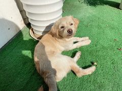 -昼夜咖啡馆