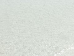 -月光岛