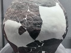 -巴音郭楞蒙古自治州博物馆