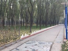 -森林公园(尖草坪区)