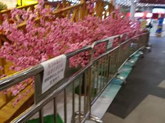 -九田家黑牛烤肉料理(新光汇店)