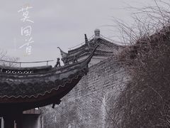 -川沙古镇-停车场