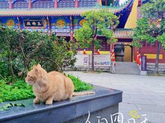-宝通禅寺