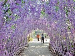 -石燕湖生态旅游景区