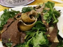 捞起鳝片柏叶-粤·向群饭店(泮塘路店)